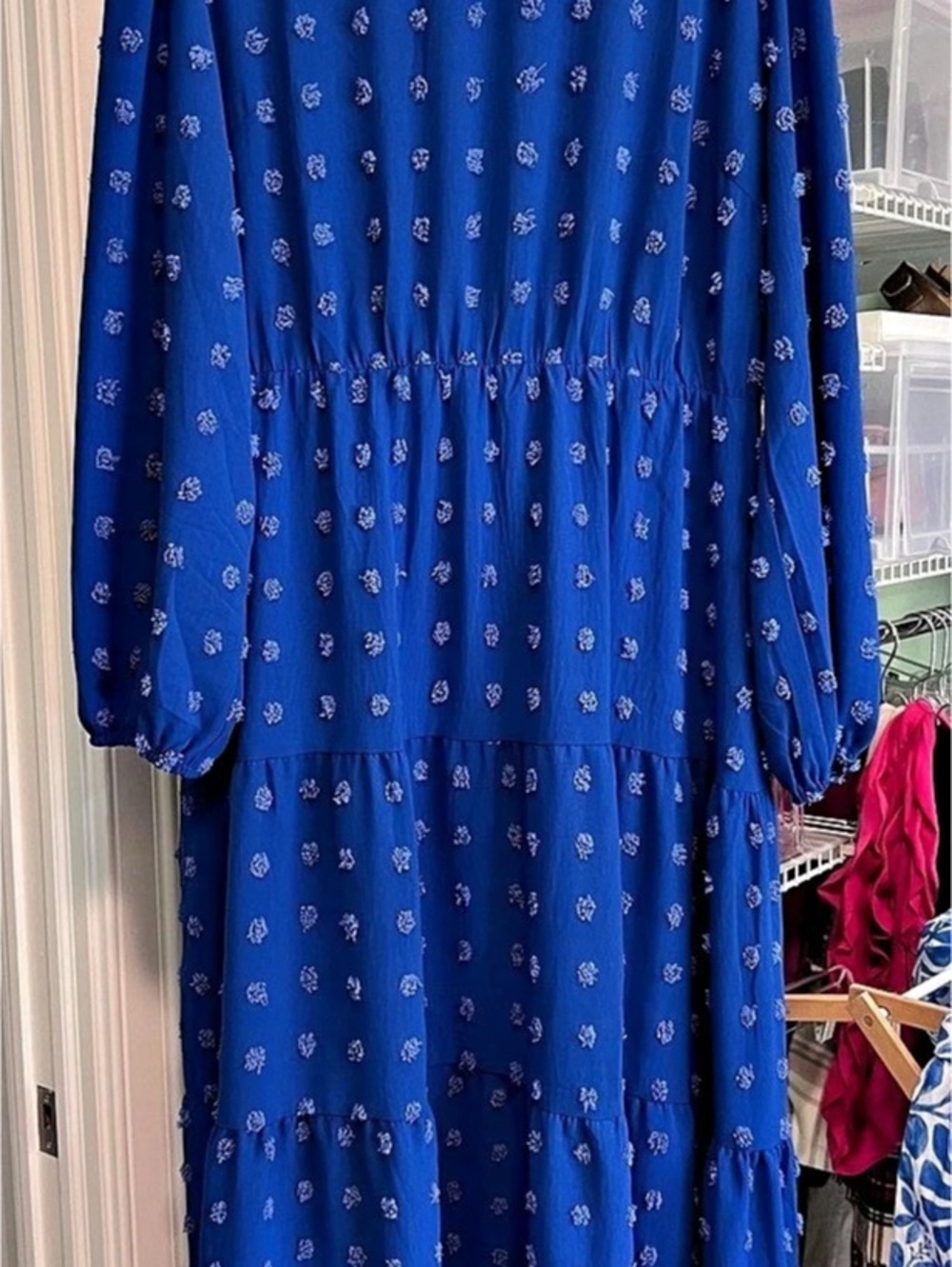 PrettyGarden Women's Long Sleeve Swiss Dot Pleated A-Line Midi Dress Blue XXL